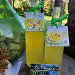 La Pitorina Willa Camaiore