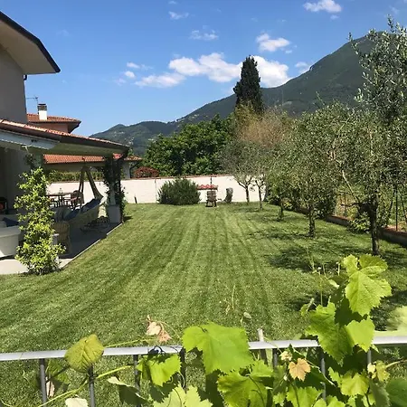 Holiday home La Pitorina Camaiore