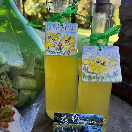 La Pitorina Willa Camaiore