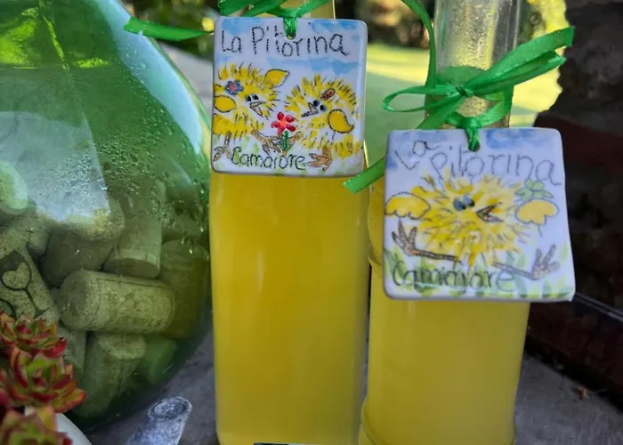 La Pitorina Villa Camaiore